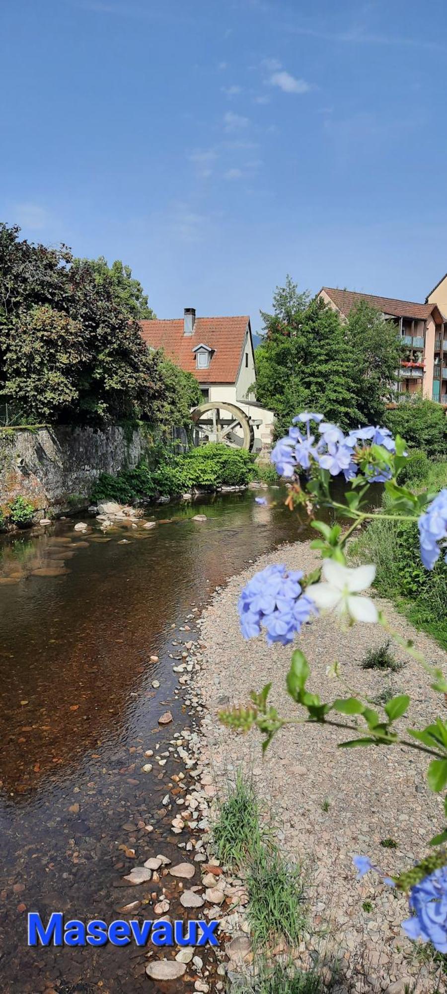 Gite Au Petit Verger Masevaux-Niederbruck Quarto foto